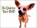 FBI Agent knocked off a dog similar to the famous Taco Bell dog