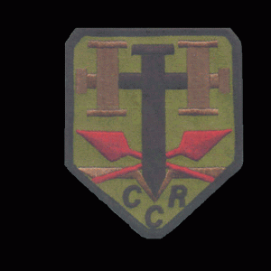 Christian Militia Hutaree patch/from website  