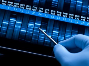 Genetic research at the laboratory