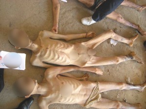 syria bodies photo