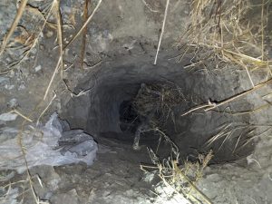 Tunnel used by Chinese and Mexican immigrants. Photo via CBP. 