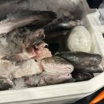 CBP Officers Find Meth Hidden in Ice Chest Full of Fish