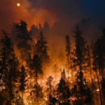 FBI Offers Reward for Information about Deadly New Mexico Wildfires